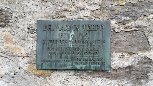 Thun - Dr Martin Trepp