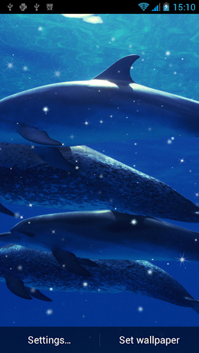 Dolphin Live Wallpaper