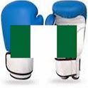 Naija Boxing 3D logo
