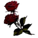 Flower Red Roses Sticker logo