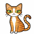 Domestic Cat Breeds Apk