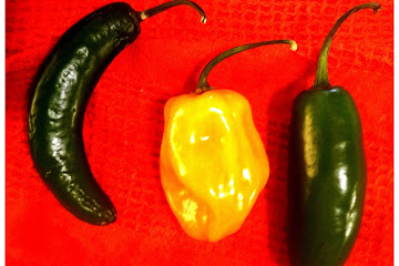 Homemade Three Chili Hot Sauce