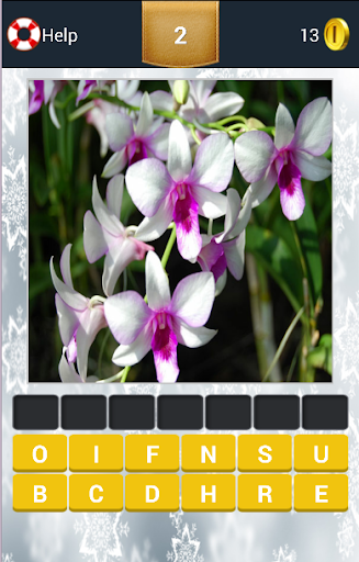 【免費解謎App】Guess The Flowers-APP點子