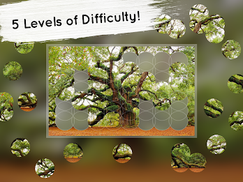 Venn Trees: Circle Jigsaw poster 11