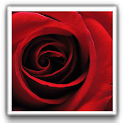 Rose of Love Wallpapers logo