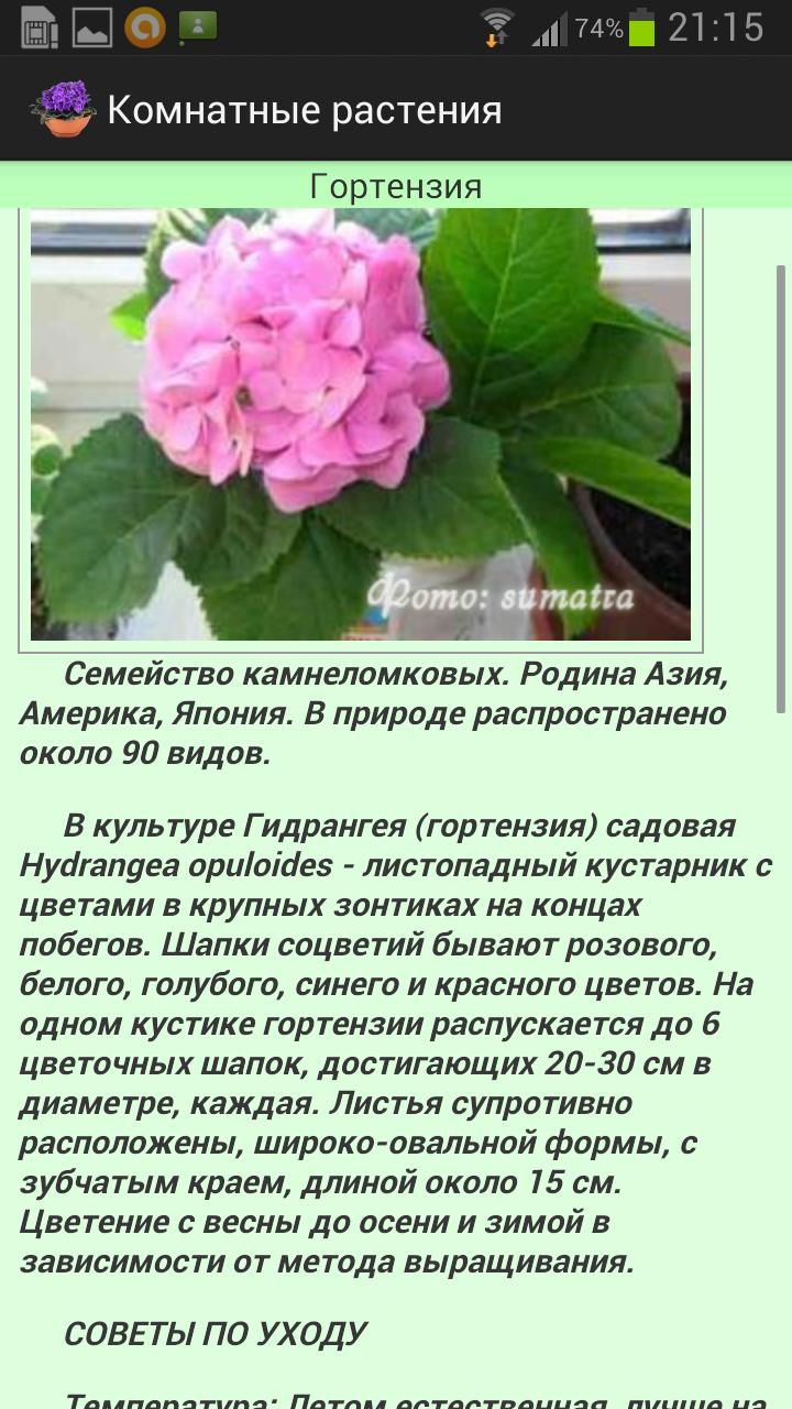 Комнатные растения (Премиум) Screen 2