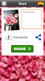 Lastest Flowers Camera APK for Android