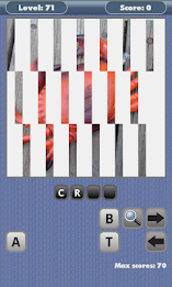 1 pic 1 word by sertanta poster 2