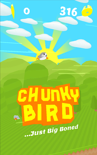 Chunky Bird