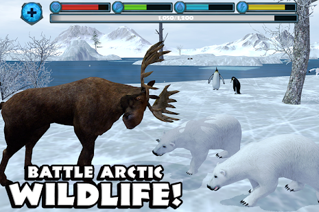 Polar Bear Simulator(圖2)-速報App