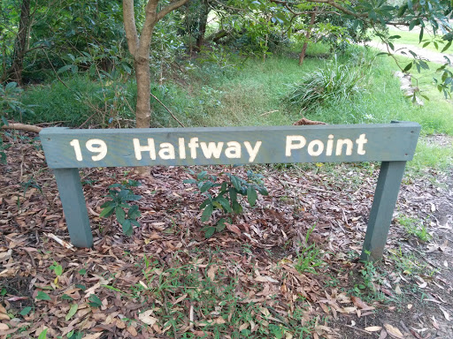 19 Halfway Point