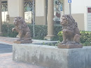 Twin Lions
