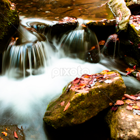 Small Falls by Isaac Golding - Nature Up Close Water