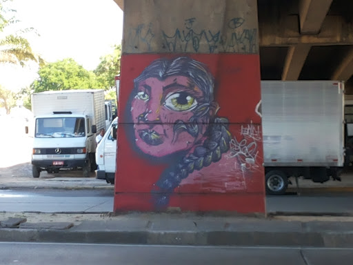 Grafite Norte Viaduto Tancredo Neves