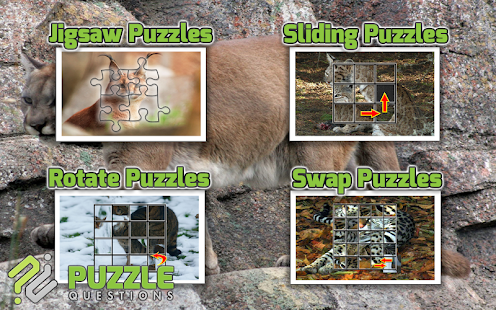 Lastest Wild Cats Puzzle Games APK