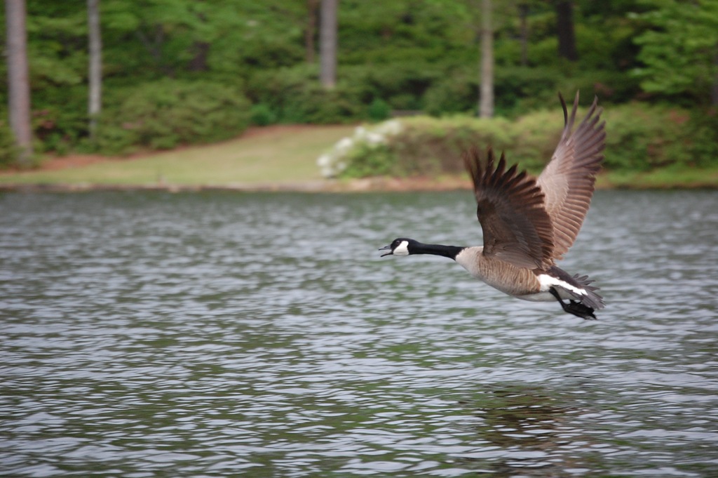 [DSC_0227[2].jpg]