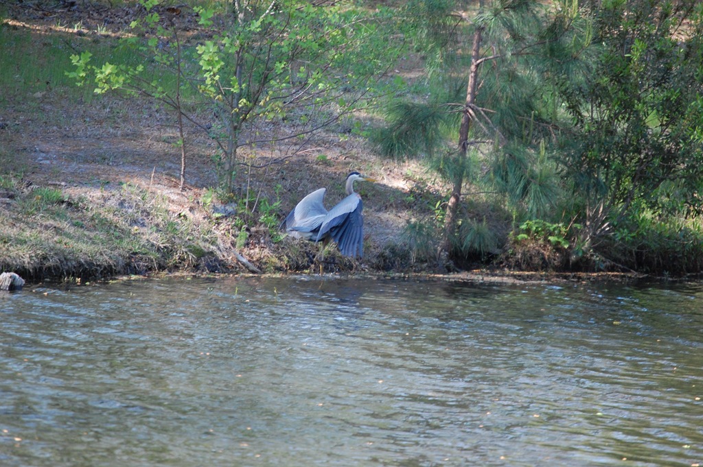 [DSC_0116[2].jpg]