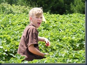 DSCF1172
