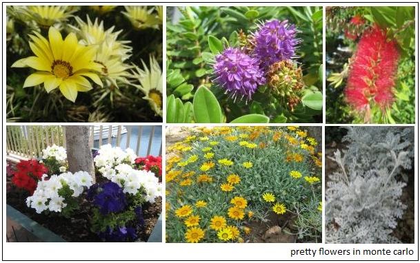 [flowers_montecarlo[7].jpg]