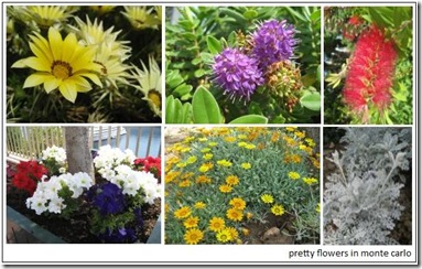 flowers_montecarlo