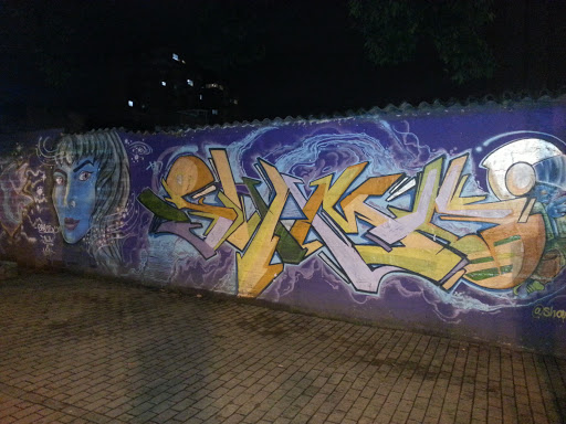 Shamo8 Graffiti