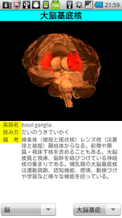 3D解剖学(圖4)-速報App