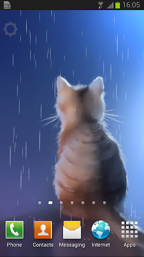 Kitten In The Rain