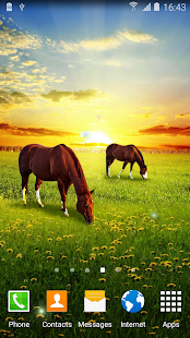 download Spring Nature Live Wallpaper free