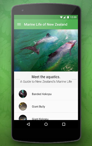 【免費教育App】Marine Life of NZ Free-APP點子