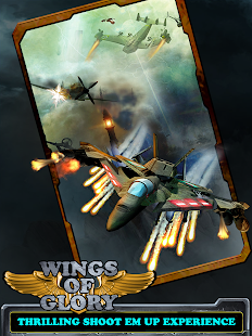 Wings of Glory 2014