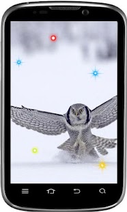 Owl Collection live wallpaper Screenshots 3