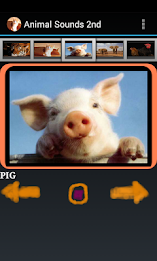 Free Animal Sounds Beta poster 3