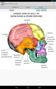 Head and Neck Lectures(圖3)-速報App
