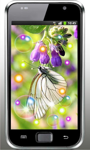 Butterfly HD live wallpaper