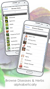 How to install Medicinal Healing Herbs Guide 1.1 apk for laptop