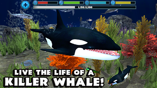 Orca Simulator(圖1)-速報App