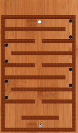 Labyrinth Free poster 10