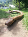Anaconda 