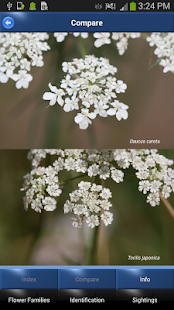 Wild Flower Id Automatic Recognition British Isles(圖4)-速報App