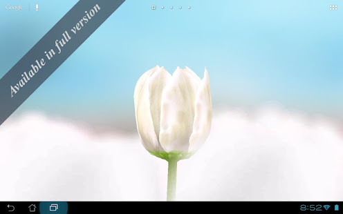 3D Tulip Live Wallpaper Free(圖6)-速報App