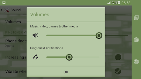 Xperien Theme Silver Green poster 10