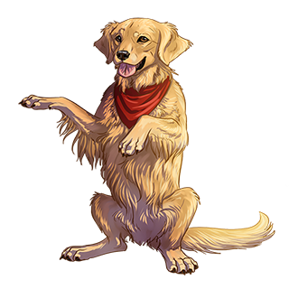 WS: Golden Retriever