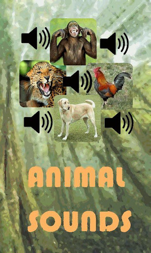 动物的声音