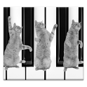 Cat Piano icon