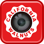 California Walnuts  Icon