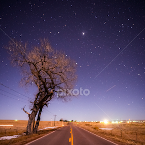 Lone tree and Jupiter by Robie Blair - Landscapes Starscapes