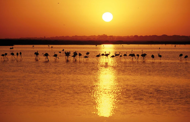 Doñana National Park in the province of Huelva in the Andalusia region is home to some of Spain's most ecologically sensitive wildlife areas.