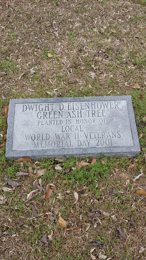 Dwight D. Eisenhower Tree