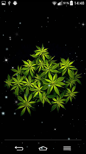 免費下載個人化APP|Rasta Weed Live Wallpaper app開箱文|APP開箱王