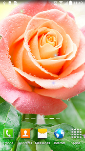 Rose Live Wallpaper(圖6)-速報App